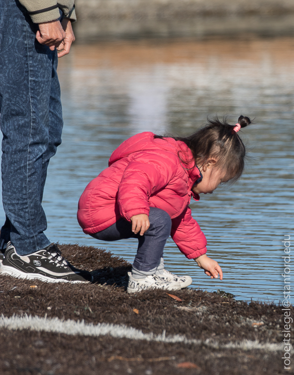 shoreline park